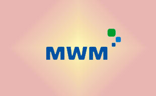 ✓ MWM 222693 Фильтр элемент 